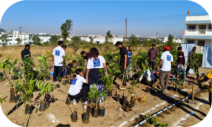 Team organizing saplings for plantation drive setup